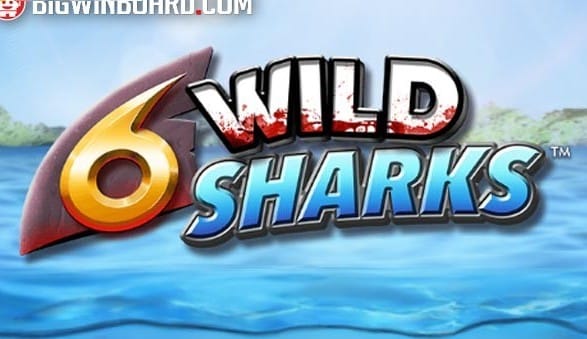 6 Wild Sharks